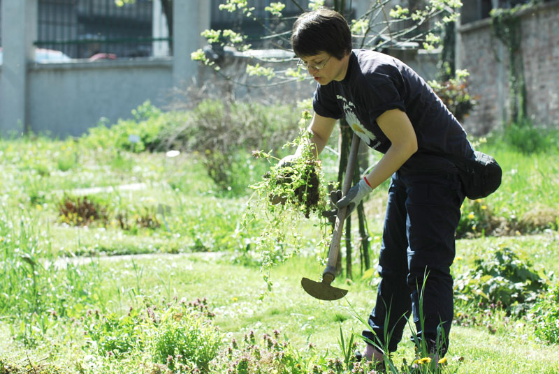 Непрестана борба са коровом 